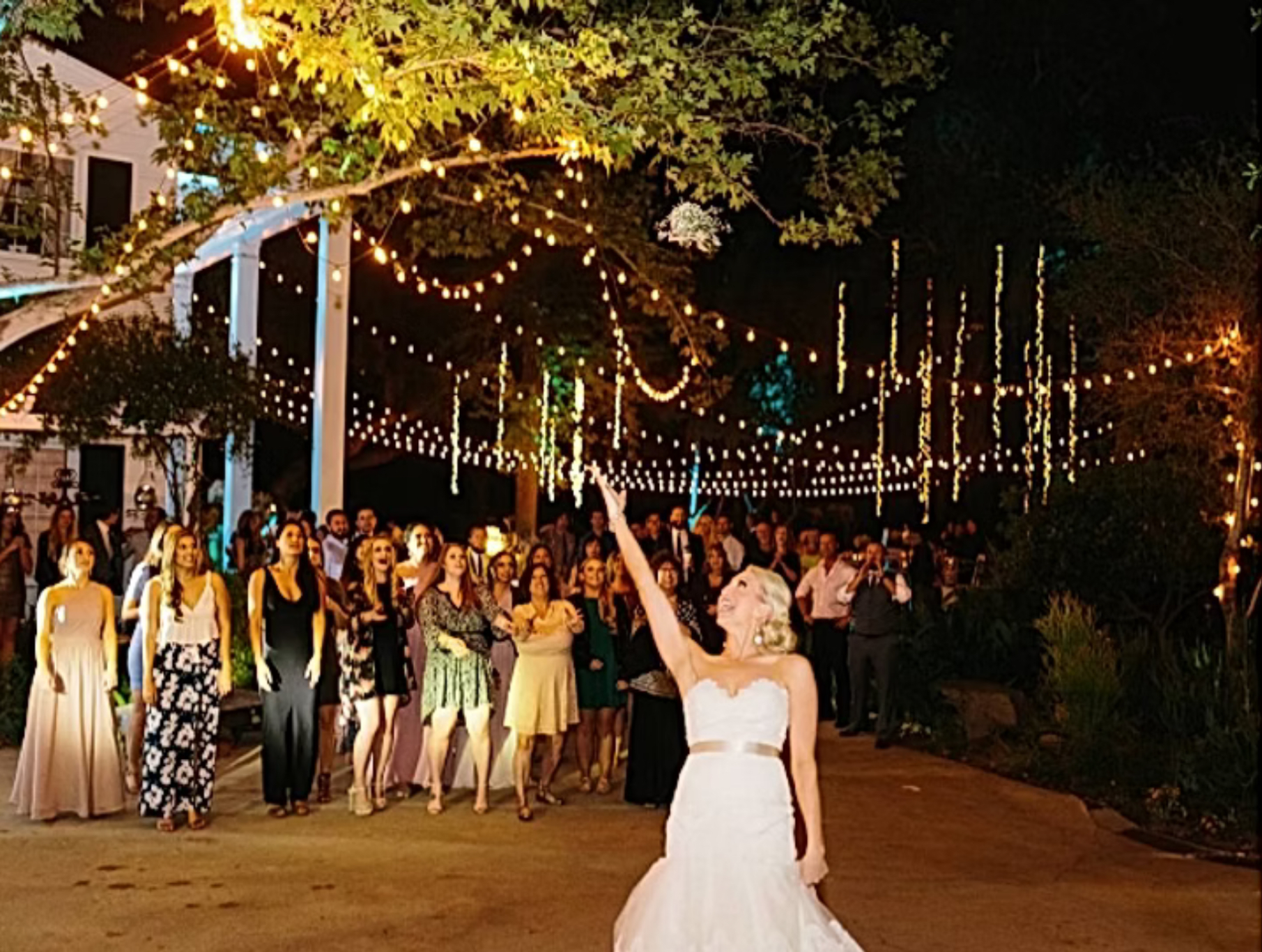 Event Canopy Bistro